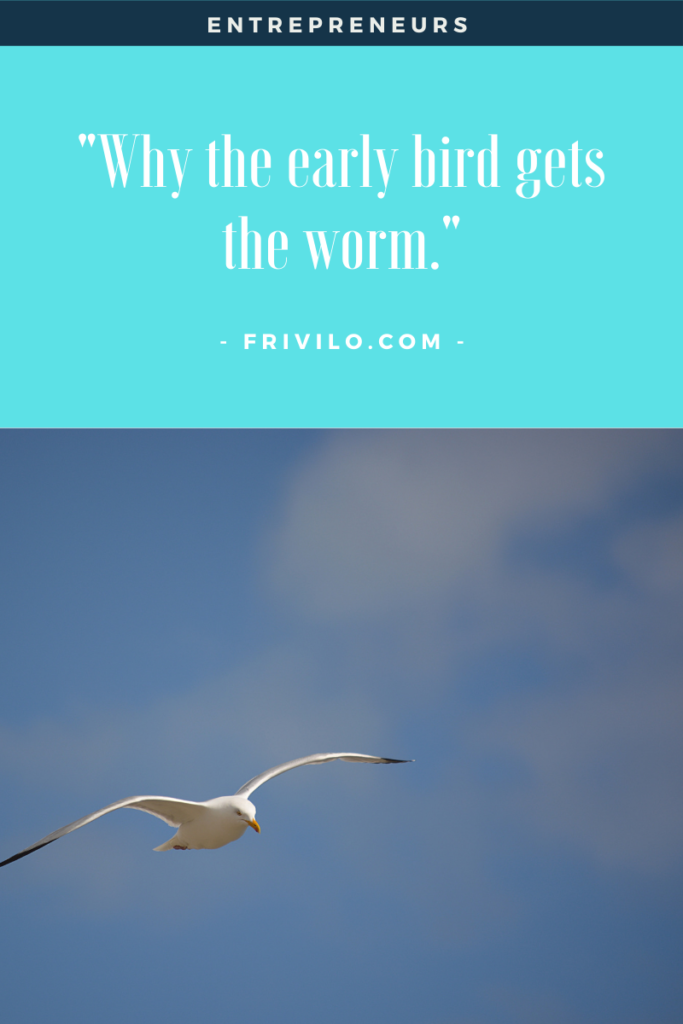 The early bird gets the worm - Frivilo